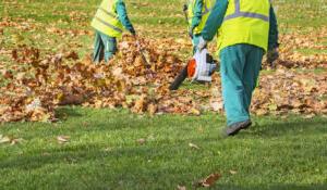 Workers in reflective vests cleaning fallen autumn leaves with a leaf blower.
